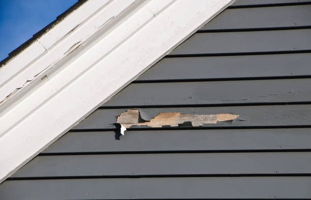 Affordable Siding Repair and Maintenance Services in Kenton, OH