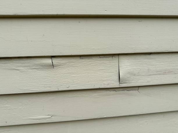 Best Stucco Siding  in Kenton, OH